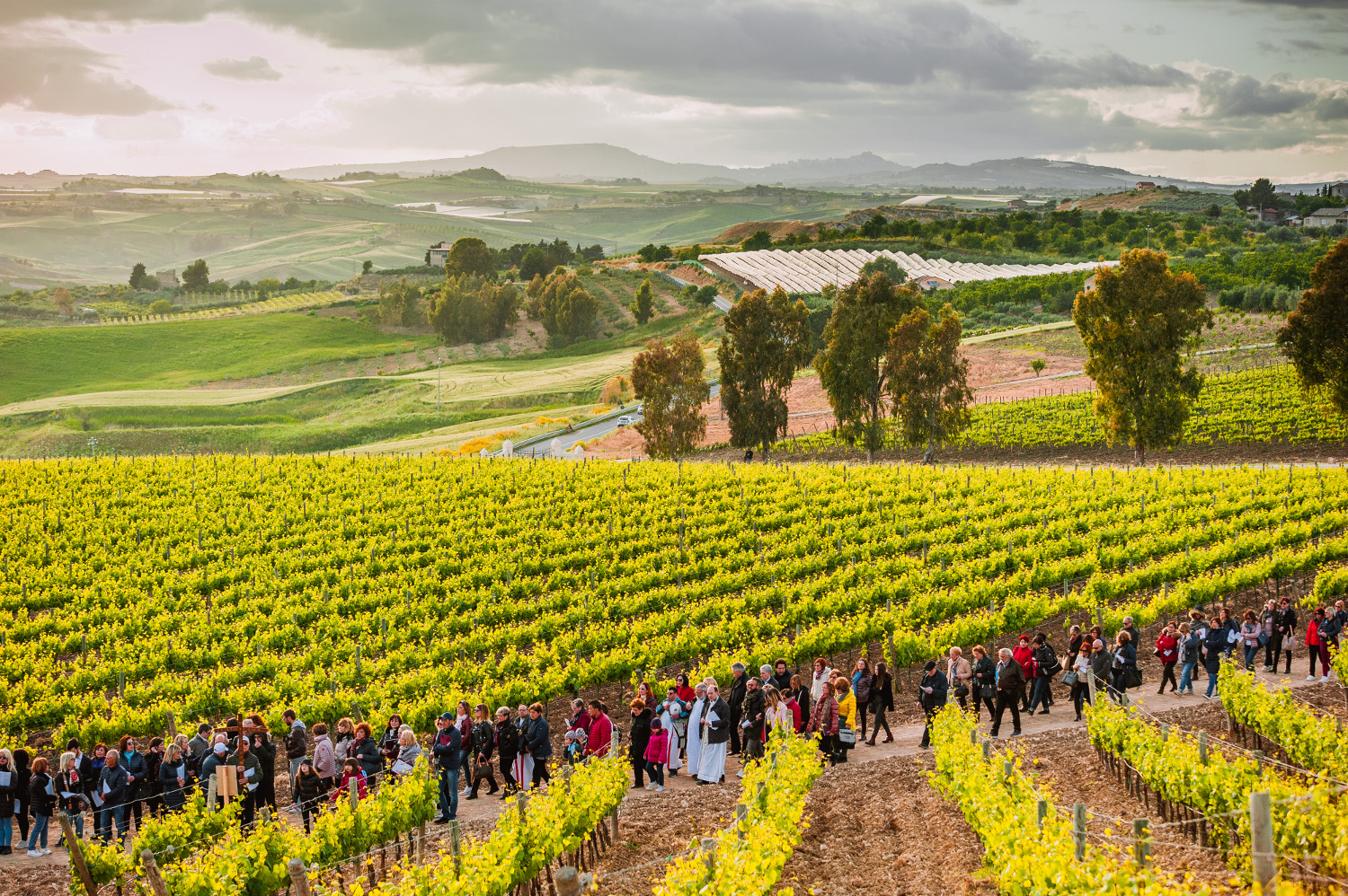 Cristo di Campobello pilgrims Cristo di Campobello pilgrims